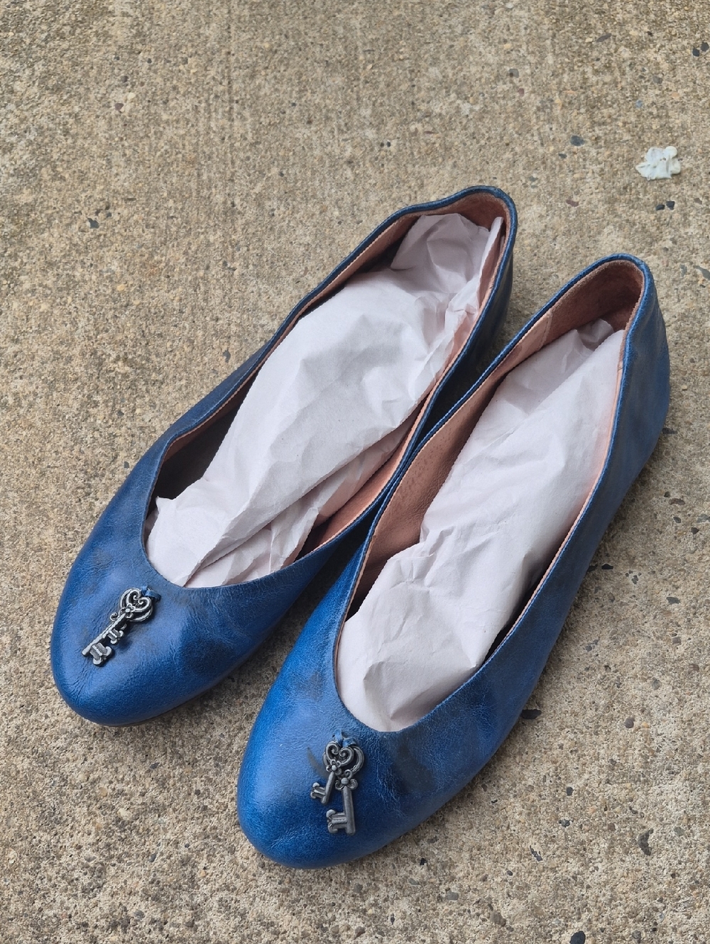 Anthro by Pilcro/Letterpress Antique Blue Flats